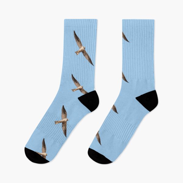 Item preview, White Tailed Kite Color Design  designed and sold by designsasstultd.