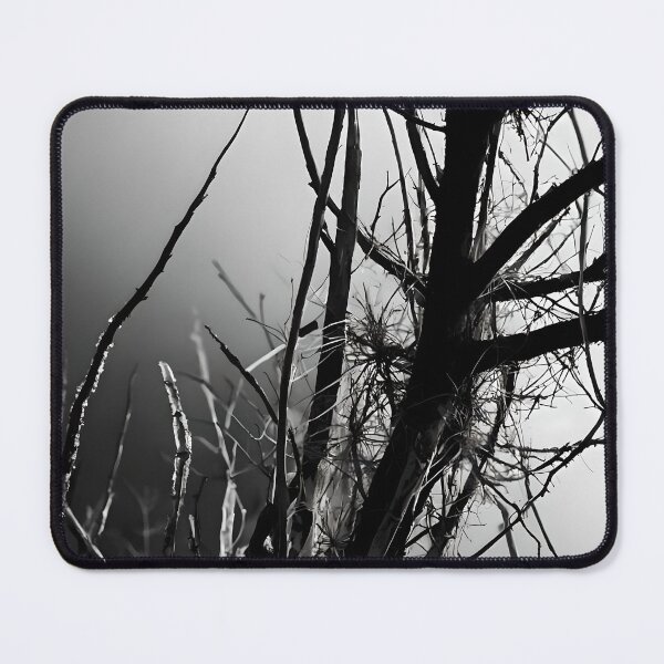Item preview, Cinematic Monochromatic Nature-Inspired Abstract Photographic Art designed and sold by ShadeScapeArt.