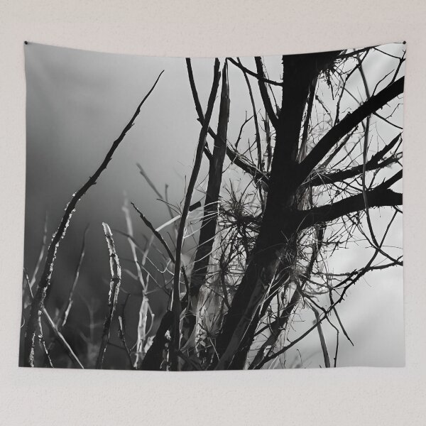 Item preview, Cinematic Monochromatic Nature-Inspired Abstract Photographic Art designed and sold by ShadeScapeArt.