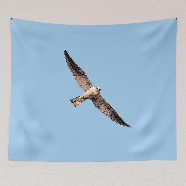 Item preview, White Tailed Kite Black Alternate Design  designed and sold by designsasstultd.