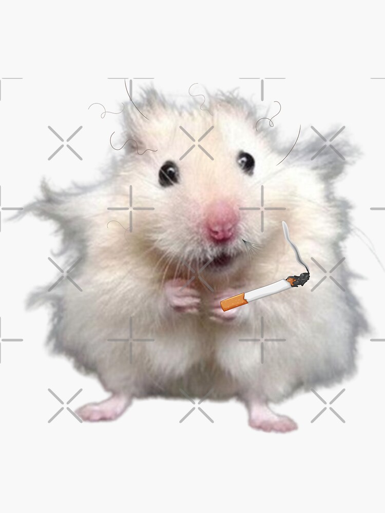 Stressed Hamster Memes