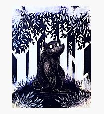 Bear in the dark illustration Photographic Print