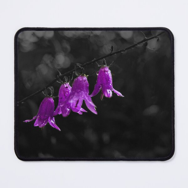 Item preview, Purple Columbine Flower Selective Colour designed and sold by jrtwynam.
