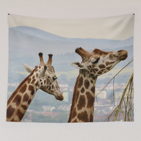 Item preview, Giraffes designed and sold by SnapsBySara.