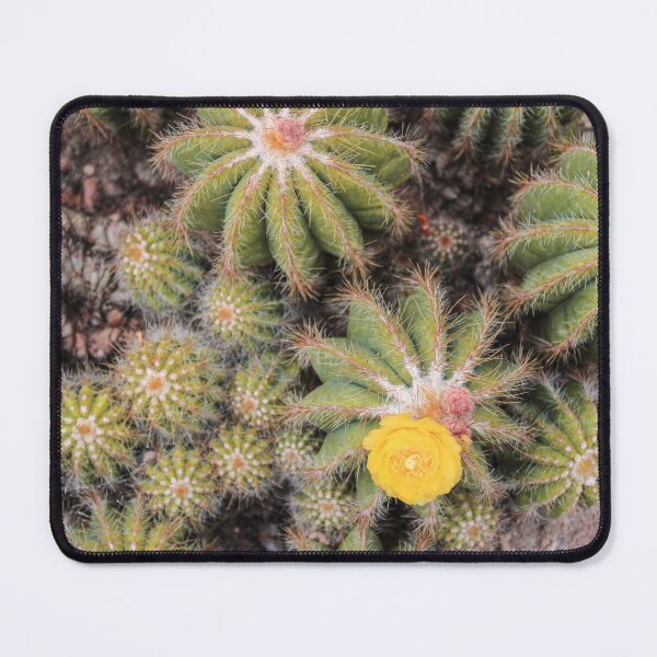 Item preview, cactus print designed and sold by enchantizzle.