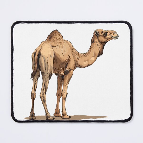 Item preview, Majestic Desert Camel Standing Proudly designed and sold by NatureSyllabus.