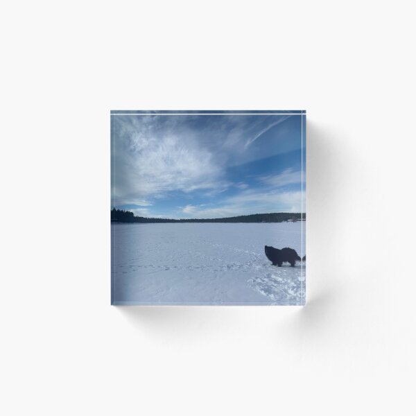 Item preview, Finnish Doggos at Frozen Lakes designed and sold by ZeroTechnique.