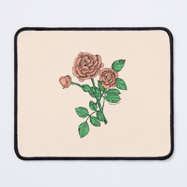 Item preview, Apricot Rosette Rose Bloom Double 16-25 Petals In 3+ Rows designed and sold by Rachael Taylor.