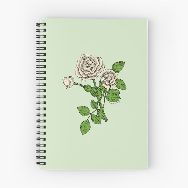 Item preview, Cream Rosette Rose Bloom Double 16-25 Petals In 3+ Rows designed and sold by Rachael Taylor.