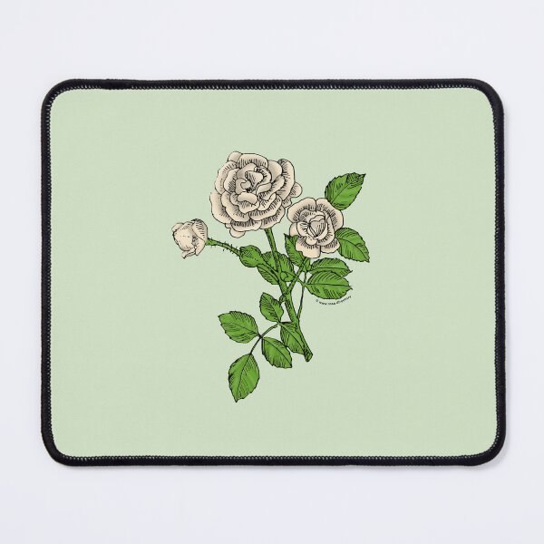 Item preview, Cream Rosette Rose Bloom Double 16-25 Petals In 3+ Rows designed and sold by Rachael Taylor.