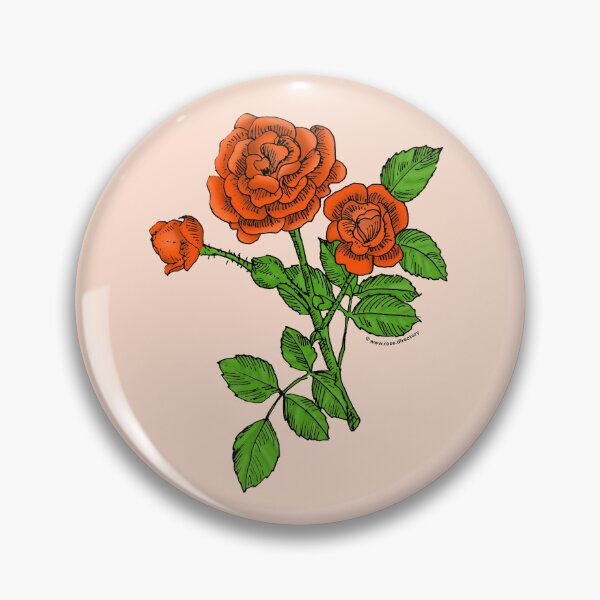 Item preview, Orange Rosette Rose Bloom Double 16-25 Petals In 3+ Rows designed and sold by Rachael Taylor.