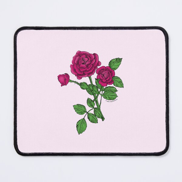 Item preview, Deep Pink Rosette Rose Bloom Double 16-25 Petals In 3+ Rows designed and sold by Rachael Taylor.