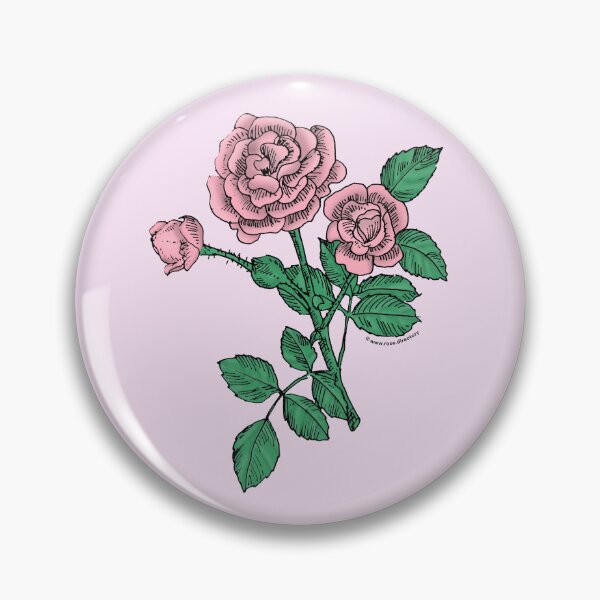 Item preview, Light Pink Rosette Rose Bloom Double 16-25 Petals In 3+ Rows designed and sold by Rachael Taylor.