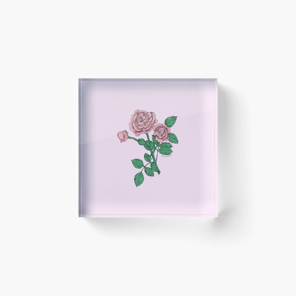 Item preview, Light Pink Rosette Rose Bloom Double 16-25 Petals In 3+ Rows designed and sold by Rachael Taylor.