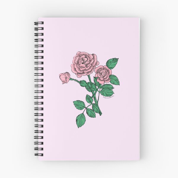 Item preview, Light Pink Rosette Rose Bloom Double 16-25 Petals In 3+ Rows designed and sold by Rachael Taylor.