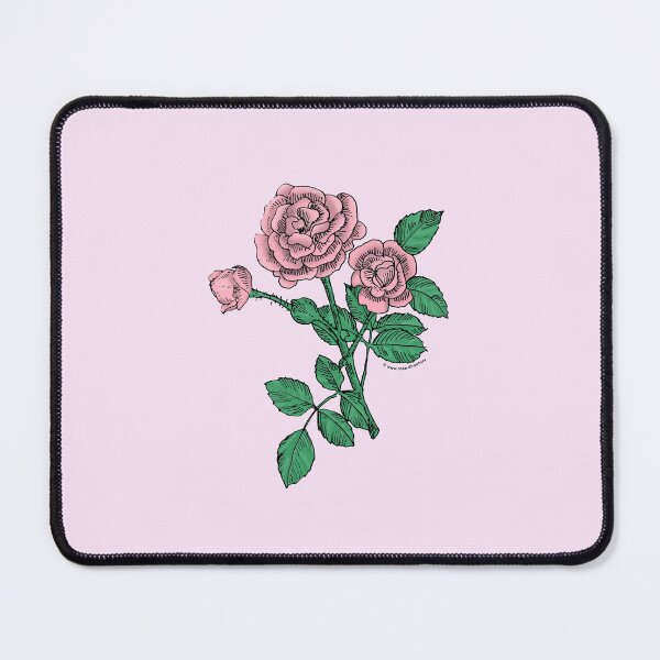 Item preview, Light Pink Rosette Rose Bloom Double 16-25 Petals In 3+ Rows designed and sold by Rachael Taylor.