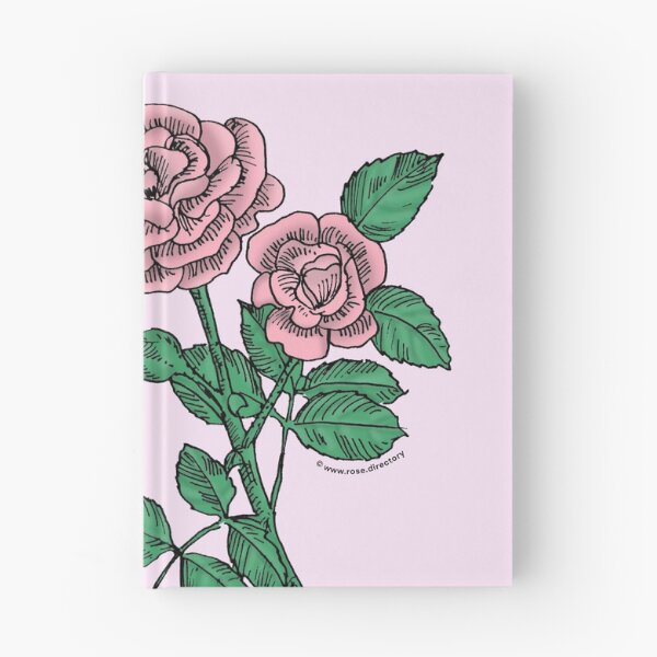 Item preview, Light Pink Rosette Rose Bloom Double 16-25 Petals In 3+ Rows designed and sold by Rachael Taylor.