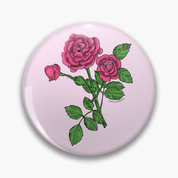 Item preview, Mid Pink Rosette Rose Bloom Double 16-25 Petals In 3+ Rows designed and sold by Rachael Taylor.