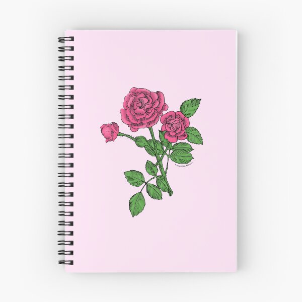 Item preview, Mid Pink Rosette Rose Bloom Double 16-25 Petals In 3+ Rows designed and sold by Rachael Taylor.