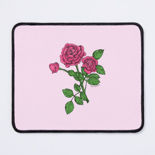 Item preview, Mid Pink Rosette Rose Bloom Double 16-25 Petals In 3+ Rows designed and sold by Rachael Taylor.