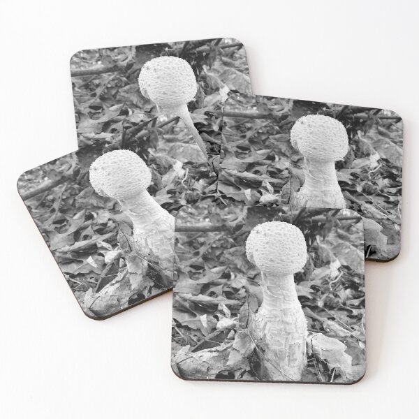 Item preview, Mushroom 2024 designed and sold by Nurseganzaba.