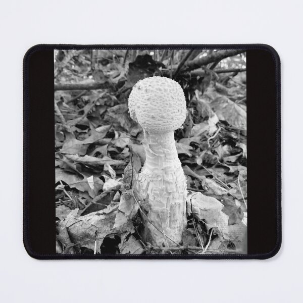 Item preview, Mushroom 2024 designed and sold by Nurseganzaba.