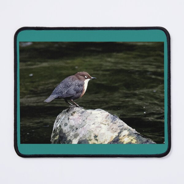Item preview, Dipper designed and sold by Madcreat.