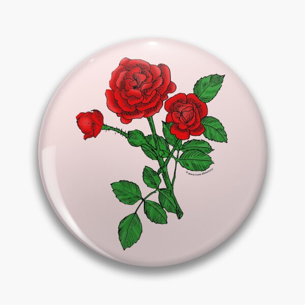 Item preview, Bright Red Rosette Rose Bloom Double 16-25 Petals In 3+ Rows designed and sold by Rachael Taylor.
