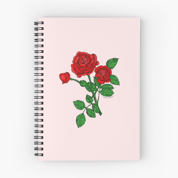 Item preview, Bright Red Rosette Rose Bloom Double 16-25 Petals In 3+ Rows designed and sold by Rachael Taylor.