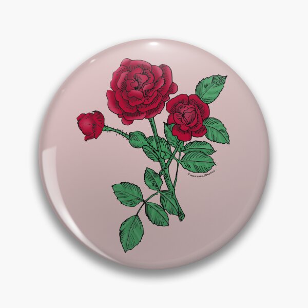 Item preview, Dark Red Rosette Rose Bloom Double 16-25 Petals In 3+ Rows designed and sold by Rachael Taylor.