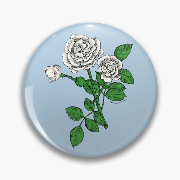 Item preview, White Rosette Rose Bloom Double 16-25 Petals In 3+ Rows designed and sold by Rachael Taylor.
