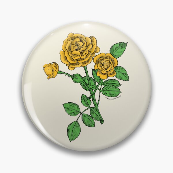 Item preview, Yellow Rosette Rose Bloom Double 16-25 Petals In 3+ Rows designed and sold by Rachael Taylor.
