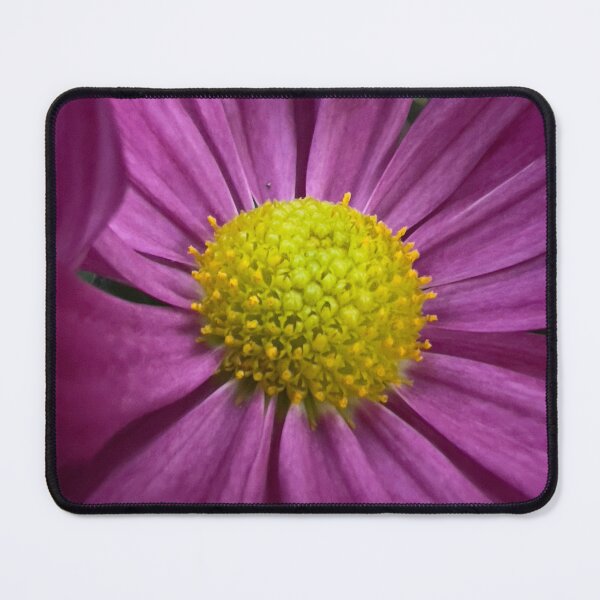 Item preview, Brilliant Pink Cosmos designed and sold by Betsy Phillips.
