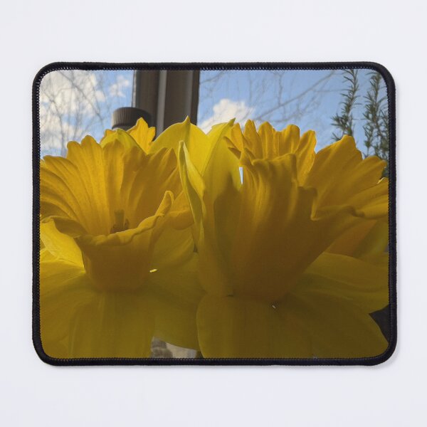 Item preview, A Few Delightful Daffodils designed and sold by Betsy Phillips.