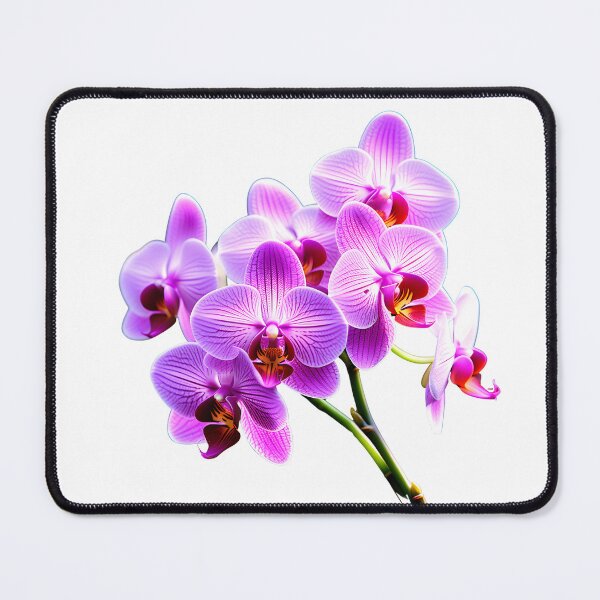 Item preview, Orchid in Full Bloom designed and sold by AspirationalArt.