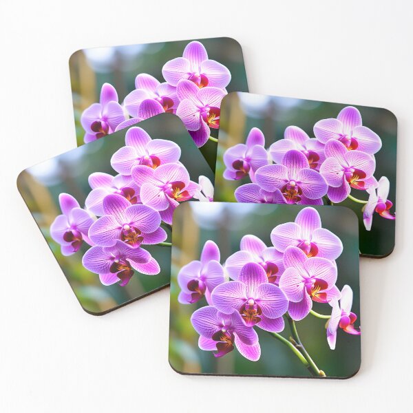 Item preview, Orchid in Full Bloom designed and sold by AspirationalArt.