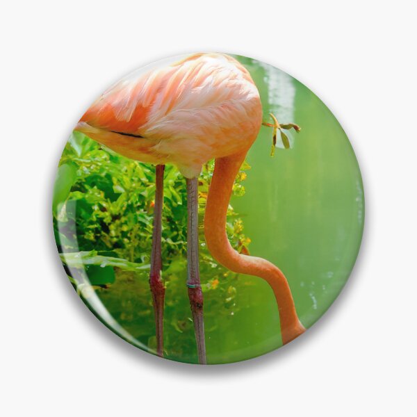 Item preview, Flamingo designed and sold by barkeypf.
