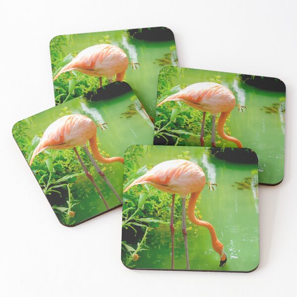 Item preview, Flamingo designed and sold by barkeypf.