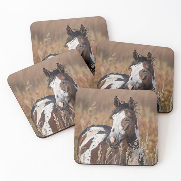 Item preview, Bay Pinto in Tall Grass designed and sold by Elisabeth Lucas.
