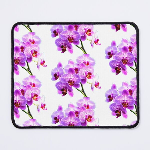 Item preview, Orchid in Full Bloom designed and sold by AspirationalArt.