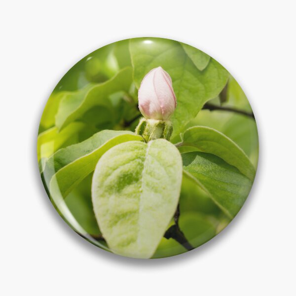 Item preview, Quince Buds and Velvety Leafs designed and sold by Georgia Mizuleva.