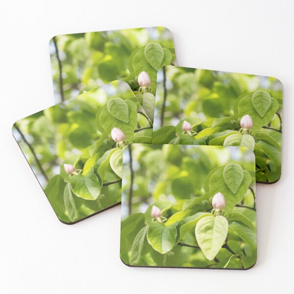 Item preview, Quince Buds and Velvety Leafs designed and sold by Georgia Mizuleva.