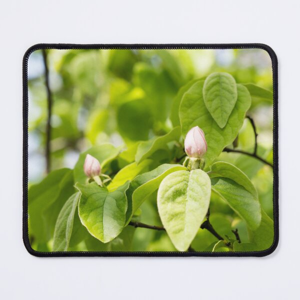 Item preview, Quince Buds and Velvety Leafs designed and sold by Georgia Mizuleva.