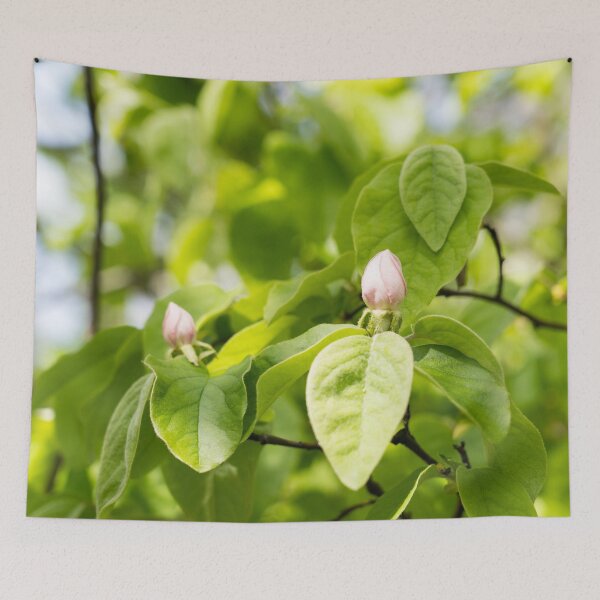 Item preview, Quince Buds and Velvety Leafs designed and sold by Georgia Mizuleva.