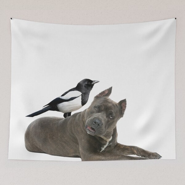 Item preview, Molly the magpie and amstaff friendship  designed and sold by CyberArtistOne.