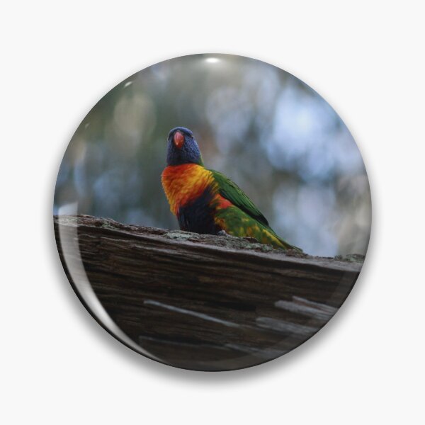 Item preview, Rainbow Lorikeet designed and sold by Pixxowl.