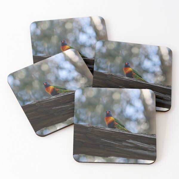 Item preview, Rainbow Lorikeet designed and sold by Pixxowl.