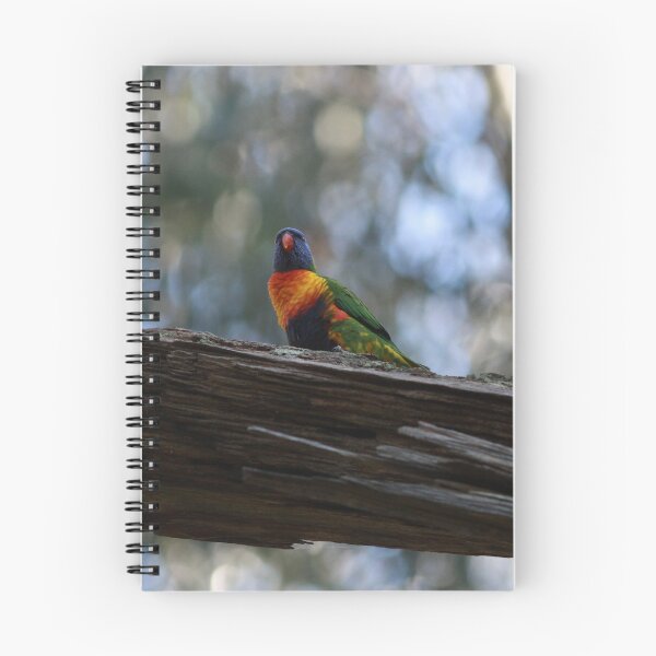 Item preview, Rainbow Lorikeet designed and sold by Pixxowl.