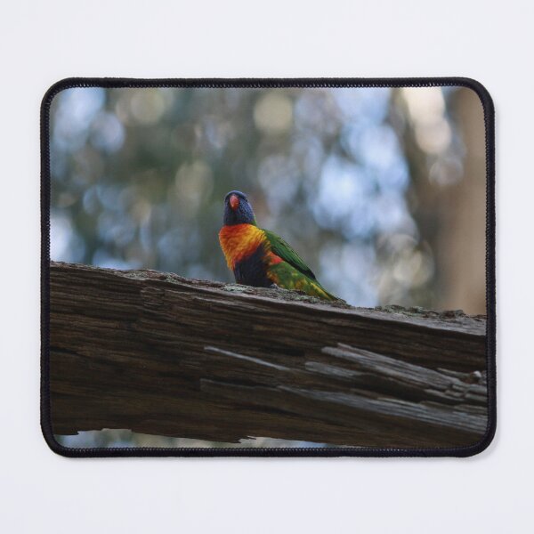 Item preview, Rainbow Lorikeet designed and sold by Pixxowl.