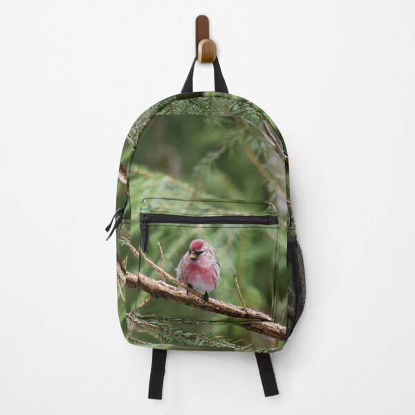 Item preview, Pinks and greens. Mealy redpoll designed and sold by Jouko Lehto Photography.